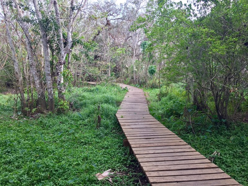 Enjoy this bridge near the end of the Flood Plain Trail.