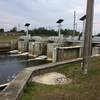 Melbourne-Tillman Water Control District Dam can be seen from the Turkey Creek Sanctuary Hiking/Jogging Trail. This marks the south end of Turkey Creek where it becomes the channelized canal.