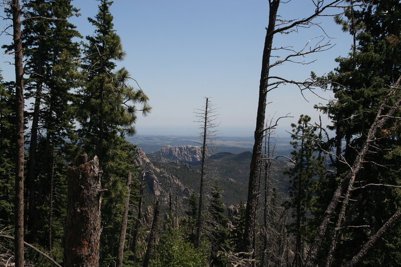 Gorgeous views into the Black Elk Nature Area peek through the trees along the Harney Peak Loop.