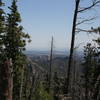 Gorgeous views into the Black Elk Nature Area peek through the trees along the Harney Peak Loop.