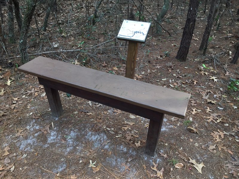Take a seat and enjoy your surroundings from this bench about halfway down the Turkey Oak Trail.
