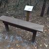 Take a seat and enjoy your surroundings from this bench about halfway down the Turkey Oak Trail.