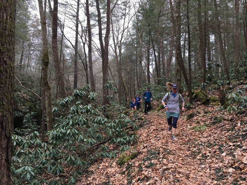 Group runs are always fun on the Lick Creek Trail.