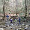 You're in for many creek crossings on the Lick Creek Trail.