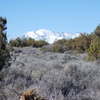 Bear Mountain is blanketed with snow while the desert remains dry.