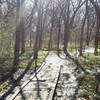 Boardwalks in lower-lying areas help to keep feet dry.