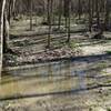 Trail-users beware...these river-bottom trails tend to retain lots of water.