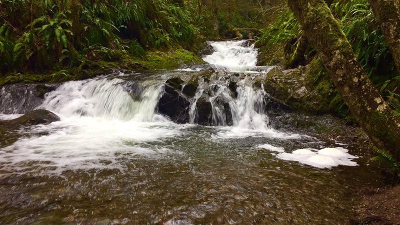 A quick detour off the path leads to this gorgeous small cascade.