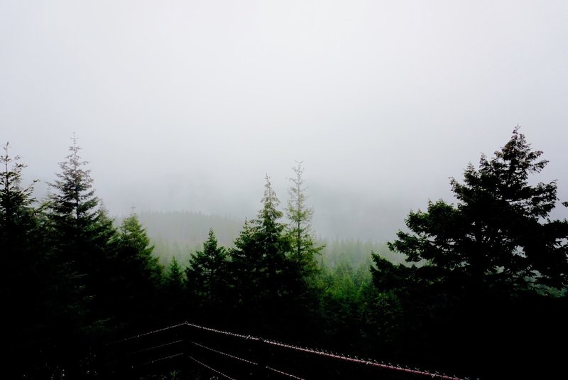 Heavy fog shrouds nearby forests along the Wildcat Trail.