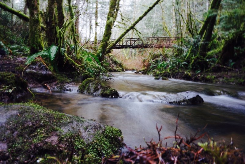 The Green Mountain Loop starts off strong as verdant, mossy forests usher you to a quaint bridge.