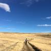 The golden hills ripple behind us as we make our way back to the trailhead.