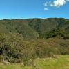 With a brush-covered ridge to the northeast, the Priest Rock Trail climbs in the distance to end at the Kennedy Trail.