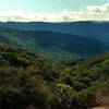 This is the northwest shoulder of Mt. Thayer, with the ridges of the Santa Cruz Mountains behind it. This is looking southeast from Priest Rock Trail.