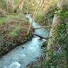 A creek along the Limekiln Trail rushes to Lexington Reservoir after winter rains.