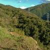 The Limekiln Trail winds along a steep, rugged hillside with a creek at the bottom.