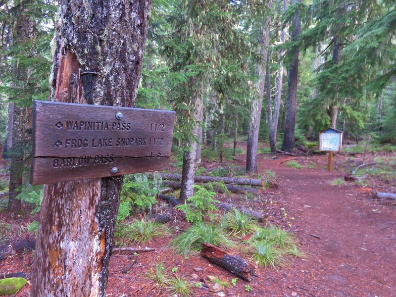 The PCT section between the lower (shown) and upper Twin Lakes Trail junctions, as well as the Twin Lakes Trail north of upper Twin Lakes, is in wilderness. Photo by Yunkette.