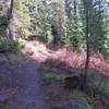 The Upper Twin Lakes Trail is less crowded than others in the area and gives you more chance of finding huckleberries in late summer. Photo by Yunkette.