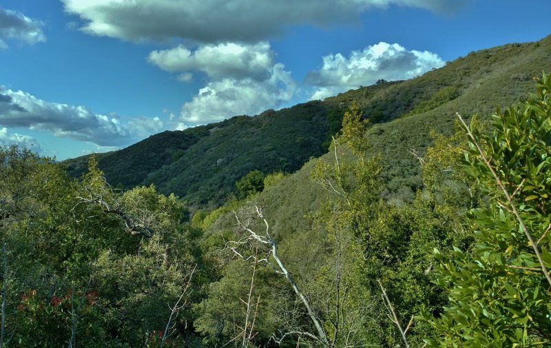 High on the Limekiln Trail, enjoy these views looking across the valley to the source of a creek.