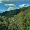 High on the Limekiln Trail, enjoy these views looking across the valley to the source of a creek.