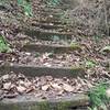 Steps aid your passage over a steep section of the Sinking Waters Trail.