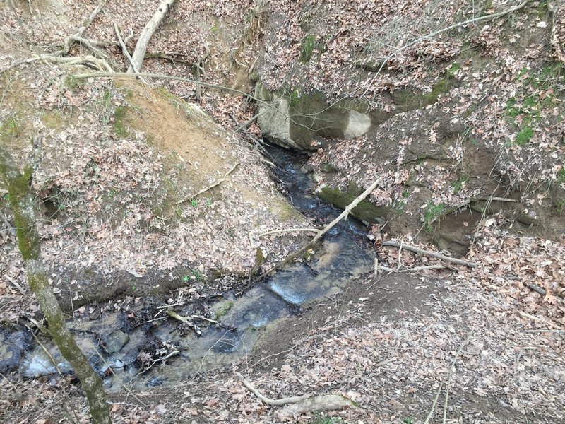 Sinking Waters Trail is named for this spot where the water dives underground into a sinkhole.