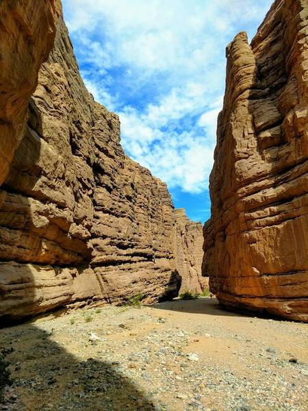 The canyon north of the parking lot is broad at first, but quickly narrows.