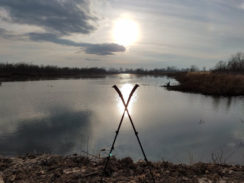 A warm February evening made for a wonderful hike through Toussaint Wildlife Area.