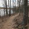 The Lake Trail traverses pleasant forests along a smooth tread.