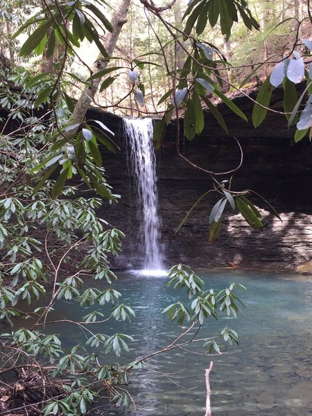 Just off the John Muir Trail, Beaver Creek Falls is fantastic in February.