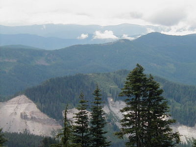 The first viewpoint on Yokum Ridge Trail is about a mile in along a short spur trail to your right just before the large switchback showcases the Sandy River Canyon. Photo by Jerry Adams.
