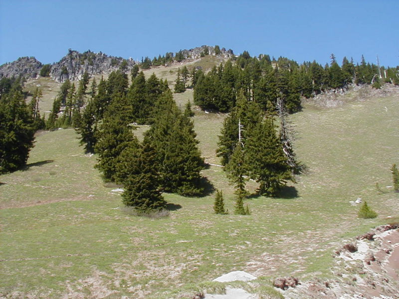 The official Yokum Ridge Trail ends in the meadow at timberline. From here, look back at the namesake ridge for a pleasant view. Photo by Jerry Adams.