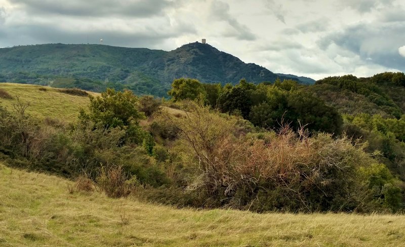 Mt. Umunhum (3,486 ft) can be seen from the summit of Bald Mountain (2,387 ft).