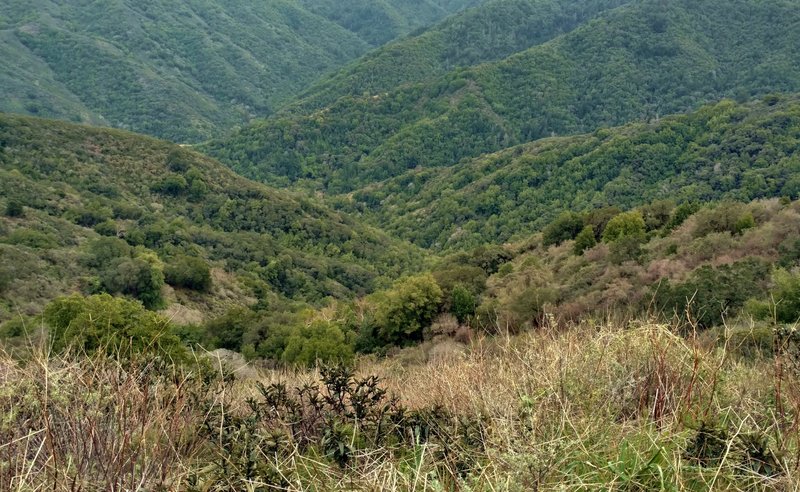 This look is straight down 1,500 ft. into the creek valleys below. Do not fall off the trail....