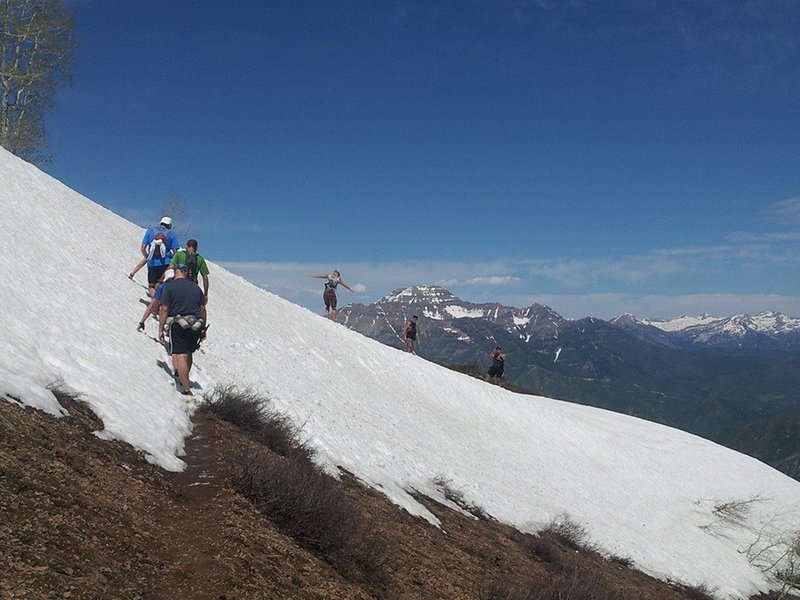 This is the high point of the course before it drops down to Windy Pass in about 1/2 mile. Mt. Timpanogos stands prominently in the background.