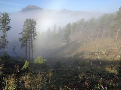 A morning mist enshrouds the CT - Segment 2 headed west.