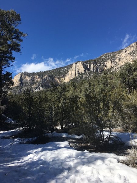 You can get by with normal boots/shoes on the Fletcher Canyon Trail in late February.