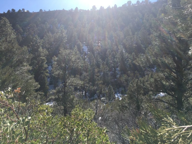 An east-west mountain ridge separates the Fletcher Canyon Trail from Hwy 157.