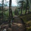 Brule - St. Croix Portage on the North Country Trail offers beautiful views of the surrounding area.