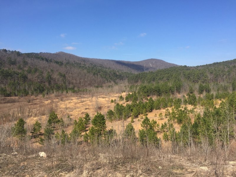 Holistic Ouachita Trails lead to Ward Dam. (H.O.T. Dam for short).