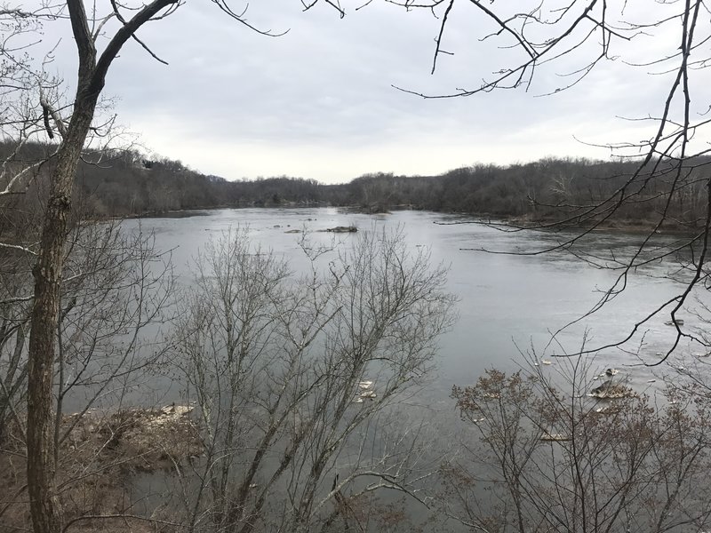 Stubblefield Falls Overlook provides a nice view of both the falls and the Potomac.