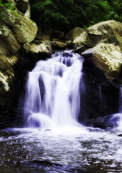 Scott's Run Waterfall cascades serenely near a viewpoint on the Potomac Heritage Trail.