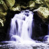 Scott's Run Waterfall cascades serenely near a viewpoint on the Potomac Heritage Trail.