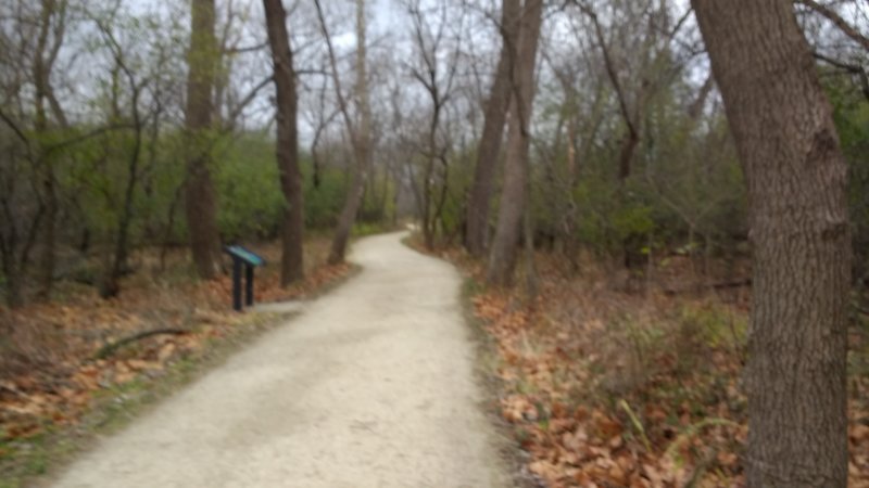 This part of the trail leaves the creek to traverse dense hardwood forests.