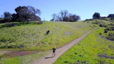 Almaden Quicksilver County Park is lush with green grass near the Randol and Mine Hill intersection.
