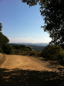 Find some shade on the Live Oak Trail and bask in the view.