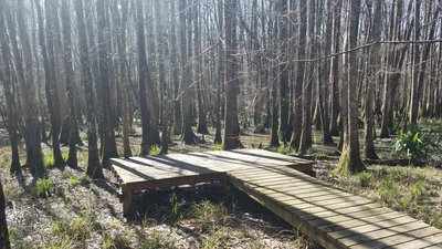 Check out this small overlook location off of the South Loop.