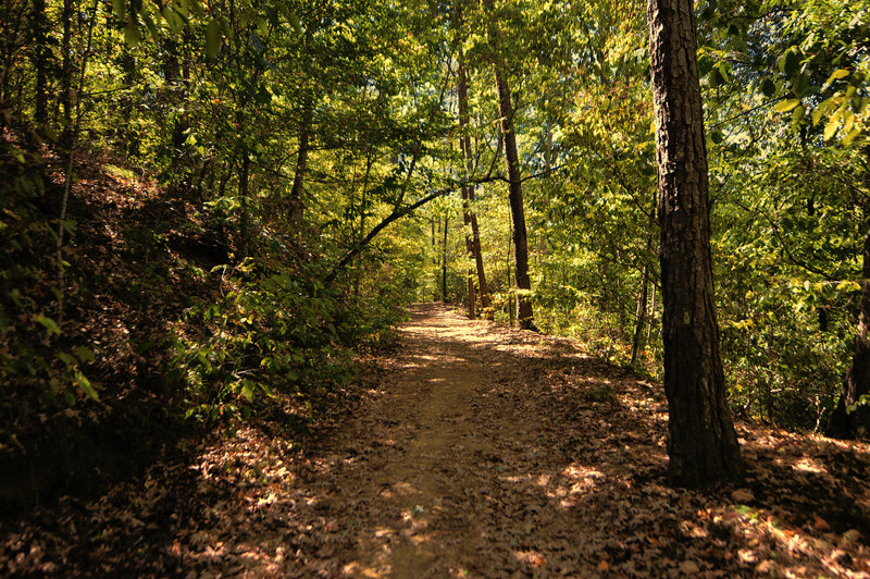 Iron Works Loop is a gorgeous trail through dense hardwood forests.