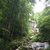 Enjoy phenomenal views of Amicalola Falls from the East Ridge Trail.