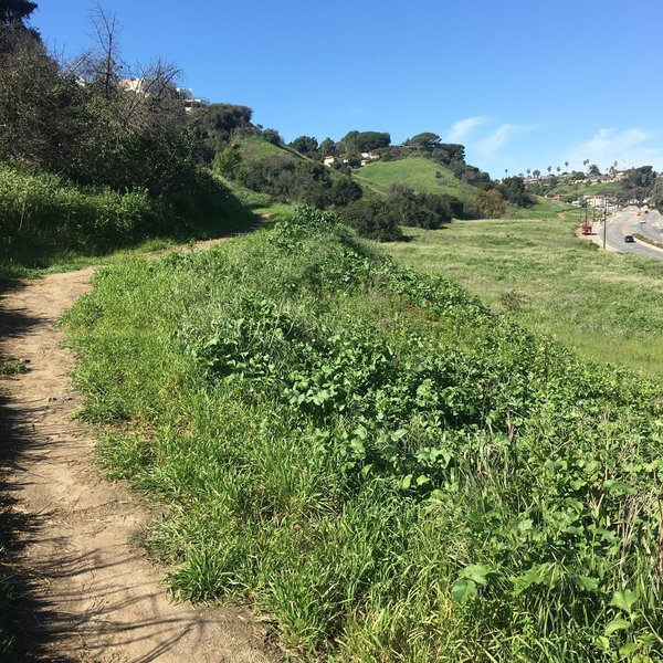 Enjoy a smooth tread along the Stocker Corridor Trail.