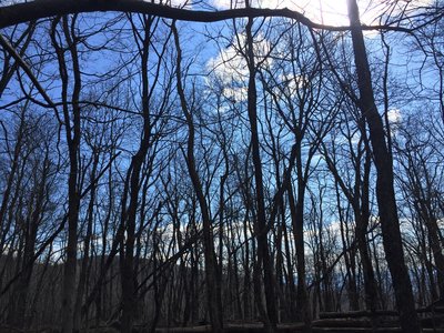 Enjoy a great view from the top of Saddleback Mountain.